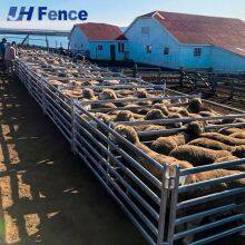 Privacy & Windbreak Sheep Panel: Solid Visual Barrier Reduces Flock Stress & Blocks Wind for Better Shelter thumbnail-1