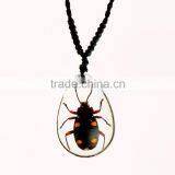 New Fashion Lovely Necklace With Real Insect thumbnail-2