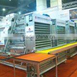 Automatic chicken egg collecting machine system for sale
