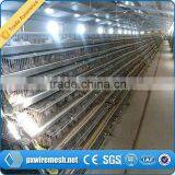 New Design Good Quality Metal Quail Cage for Sale(manufacturer Factory)