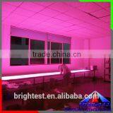 Flex LED Strip With Pink Color SMD2835 LED thumbnail-5