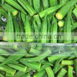 2016 New IQF Frozen Okra thumbnail-1