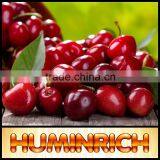 FAQ 9--What Should Pay Attention To Cultivation Of Cherries? thumbnail-3