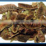 Cassia Pods thumbnail-1