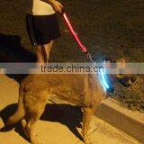 Hot selling led safety collar / led dog collar / Light up collar