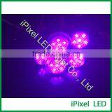 38 mm 6 Leds DC24V Point Pixel Clear Color Body