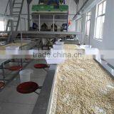 Raw Peanuts for Sale thumbnail-4