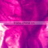 Chicken Embryology Glass Slides/chicken Embryology Prepared Slides thumbnail-3