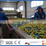 Dates Production Line