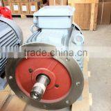 Pump Motor thumbnail-2