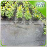 New HDPE Weed Control Fabric for Garden thumbnail-5