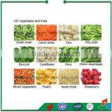SP-I Vegetable and Fruit Processing Line thumbnail-6