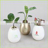 Office Desk Flower Pots,plastic Decorative Flower Pots,plastic Flower Pots From China thumbnail-4