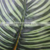 Brand Name Artificial Bonsai Plants Artificial Zebra Evergreen Bonsai Decor thumbnail-2