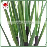 Factory Direct Sale Large Garden Decoration Onion Grass thumbnail-2