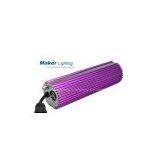 600W Dimmble Ballast (MH/ HPS Bulb) thumbnail-1