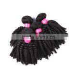 TOP Quality Best Price Fast Delivery Malaysian Afro Kinky Curl Hair Weave thumbnail-5