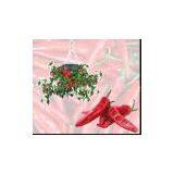 Topsy Turvy Chilli Planter thumbnail-1