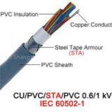Cu/PVC Control Cable thumbnail-1