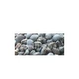 Sell Electric Fused Magnesite
