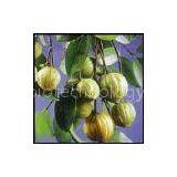Garcinia Combogia Extract thumbnail-1