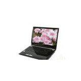 QOSMIO G501