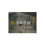 Chain Link Dog Kennel