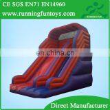 Giant Adult Inflatable Slide,inflatable Hippo Slide,inflatable Slide Castle for Sale RF65 thumbnail-1