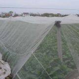 Agriculture Greenhouse Anti Aphid Insect Protection Net for Tunnel Farming thumbnail-5