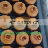 Beacon Machine HP0 Pump PCV Valve 094040-0081 094040-0150 thumbnail-2