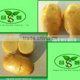 2016 Chinese Fresh Potato Price Per Ton