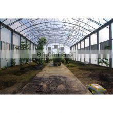 commerical steel frame agricultural garden green houses with good price