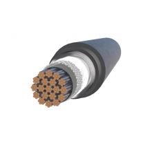 Digital Skin Effect Electric Heating Cable With Alarm Functionality-Iecex and EAC Certified thumbnail-4