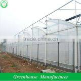 Cheap Poly Greenhouse thumbnail-1