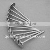 Galvanized Umbrella head Roofing Nails stainless steel wire nails                        
                                                Quality Choice