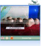 Hot Selling Dinosaur Eggs Life Size thumbnail-2