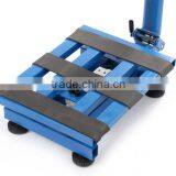 60kg TCS Series Sheep Scale thumbnail-2