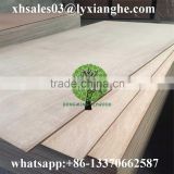 21mm Plywood for Container Flooring