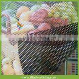 One Way Vision Film thumbnail-3