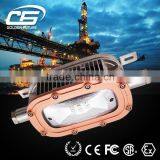 North America Ip68 30w High Power Stainless Steel Housing Outdoor Waterproof Led Flood Light thumbnail-2