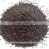 TUKMARIYA thumbnail-6