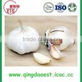 Fresh White Garlic Size :4.5-6.0 cm thumbnail-4