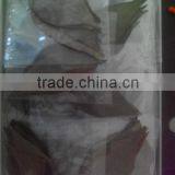 Dried Amaranth Leaves / Powder thumbnail-1