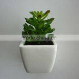 Fake Mini Succulent Plant Bonsai For Home Office Christmas Holiday Decoration