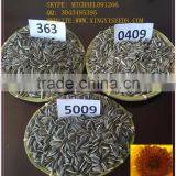 bulk raw black hulled sunflower seed