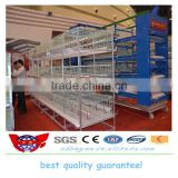 Best quality automatic broiler chicken cage/day old broiler chicks for sale