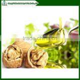 TL-80 Automatic Mini Olive Oil Press Machine Multifunctional, Screw Oil Press Machine thumbnail-3