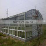 Commercial Poly Tunnel Greenhouse thumbnail-4