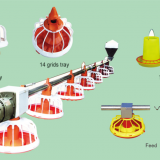 Poultry Equipment Chickenhouse Feeding Line thumbnail-5