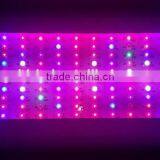 2016 New Reflector Design LED 480W Light Adjustable Customizable Grow Light 5W LED COB Chip thumbnail-5